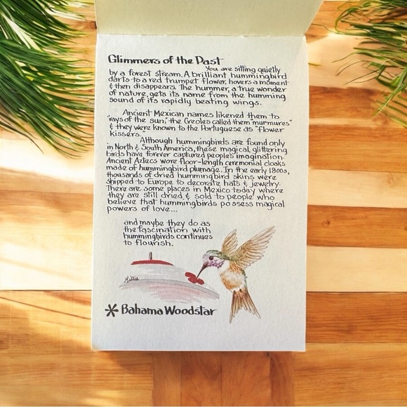 VINTAGE 1987 Hummers: Hummingbirds of North America - Pocket Nature Guide - Picture 4 of 8